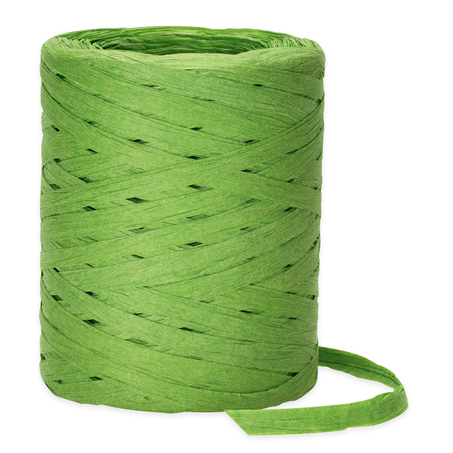 G2PLUS 218 Yards Raffia Paper Craft Ribbon, 1/4 Inch Wide Raffia Ribbon for Gift Wrapping, Green Raffia Ribbon Packing Twine String for DIY Arts & Crafts, Crochet Supplies, Christmas Holiday Decor