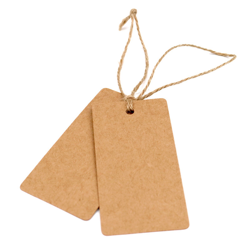 G2PLUS Gift Kraft Paper Tags 100 PCS Luggage Tags Labels 4.5 cm * 9 cm Labels with 30 Meters Jute Twine (Brown) - G2plus